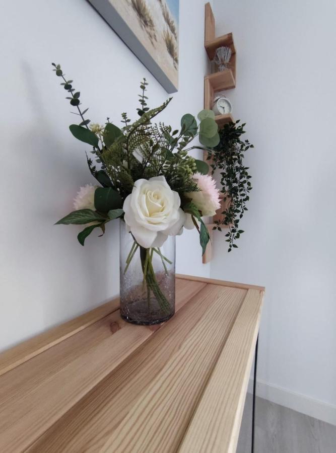 Apartamento En Alicante La Casa Azul Santa Faz Luaran gambar