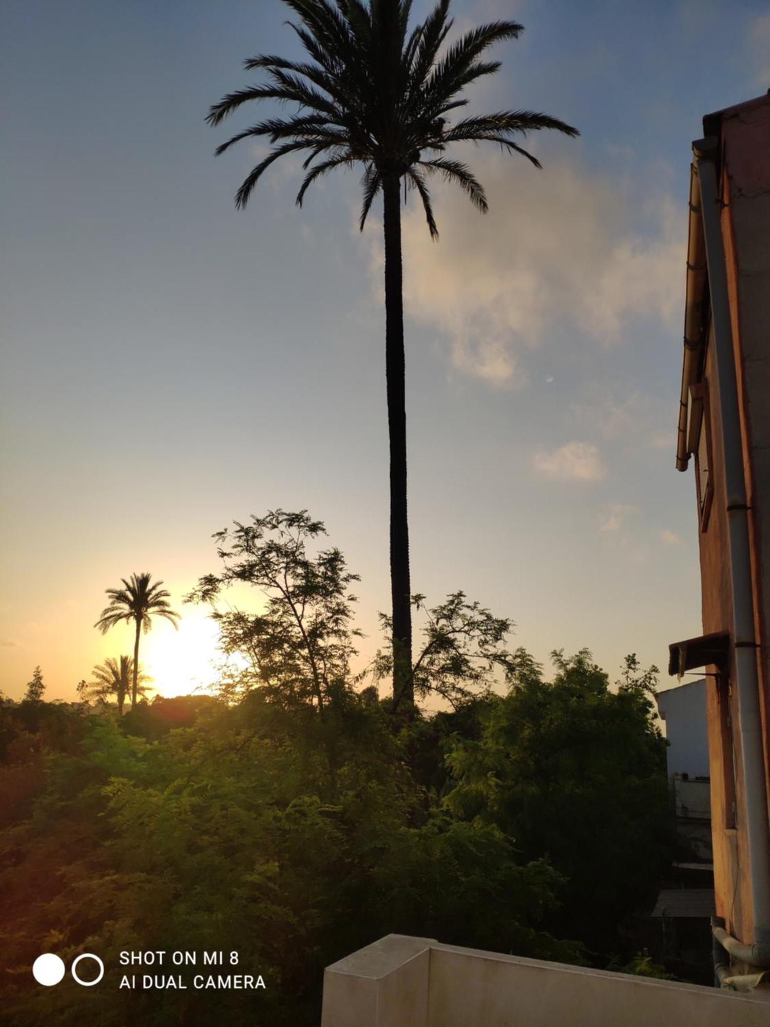 Apartamento En Alicante La Casa Azul Santa Faz Luaran gambar